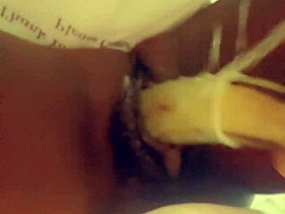 Veggie dish prepared with fresh ingredients