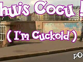 Sweet cat in pantyhose special 😍