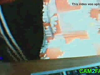 Amateur Webcam Upskirt Sex