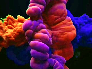 Taking Out Anger On Bus By Masturbating Outdoors!