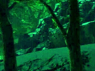 Redhead with shaved pussy explores outdoor in paradise trails vr part 2