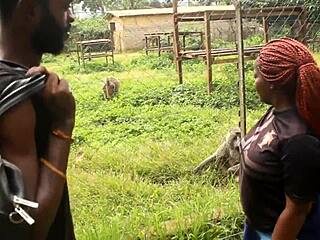 These Two Tourists Cross Paths in Park for Unexplored Adventures and Memorable Moments