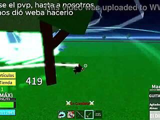 Showcase Rocket Bloxfruits Fruit Showcase Acla48