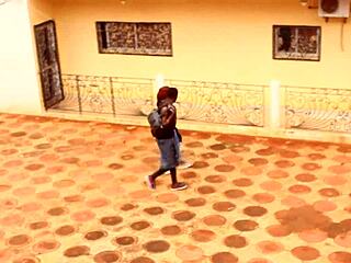 These Two Tourists Cross Paths in Park for Unexplored Adventures and Memorable Moments