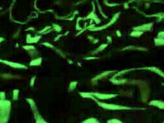 camgirl taio gets roughly fucked by neighbor on cam 😏