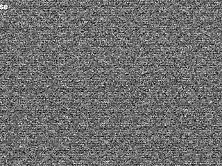 Fight Pulse delivers raw mixed wrestling with intense domination