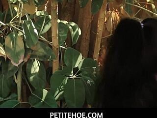 Petitehoe - a busty and petite girl is getting fucked hard