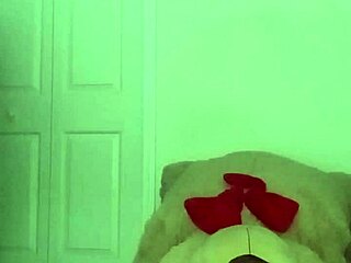 taking turns stretching like scorpio zodiac animal spider similar to cancers crab with toy bear 2