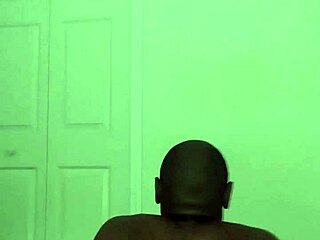 taking turns stretching like scorpio zodiac animal spider similar to cancers crab with toy bear 2