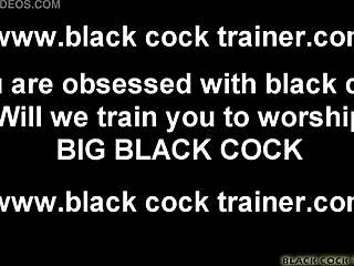 I want you ready for black cock