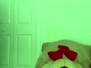 taking turns stretching like scorpio zodiac animal spider similar to cancers crab with toy bear 2