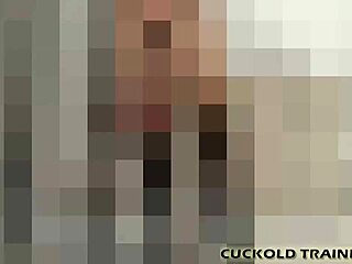 I Need a Fresh Cuckold to Dominate and Humiliate