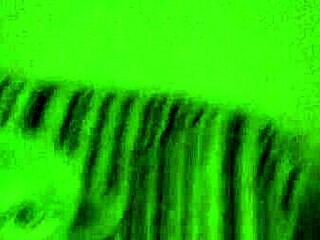 Check Out This Homemade Sex with Small Tits