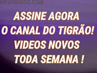 subscricao tigr�o familiaaa