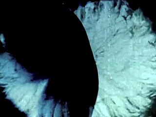 Lingerie Models On The Farm Showcase