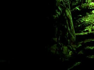 Nonkh plays Skyrim with a unique friend