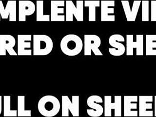 Teen Masturbates With Hairy Armpits And Ass On Red