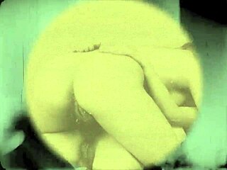 Lingerie Models On The Farm Showcase