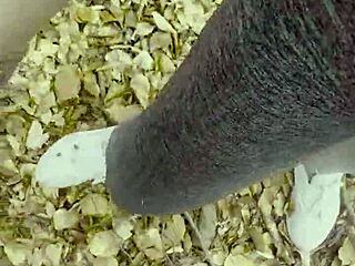 ma petite 18+ chatte emyangel in a web chat session