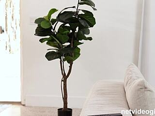 innocent babe on sofa talks dirty during tight pussy fucking