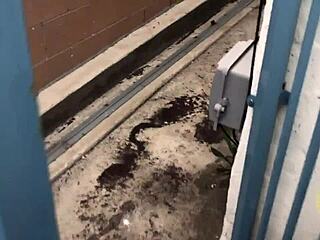 soraya coquine licks big cock fantasy