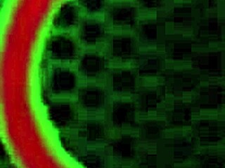 soraya coquine licks big cock fantasy