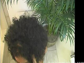 theshimmyshow island hottie from trinidad ft foxy roxy in caribbean shower