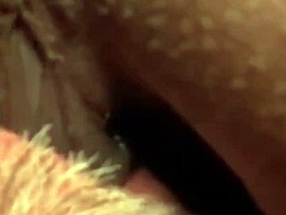 Flower and louis share morning laughs in their everyday life update on july 13 2024