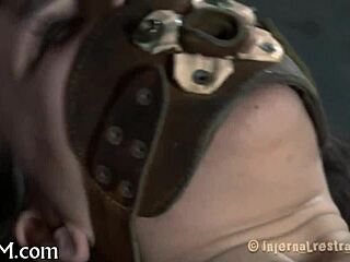 Bizarre Sadomasochism Practices Explored in Detail