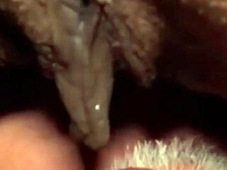 Flower and louis share morning laughs in their everyday life update on july 13 2024