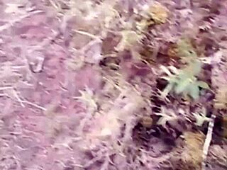 Outdoor Sex With Stranger Who Watched For Days