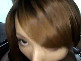 taboo creampie seth brogan creampies reina hart