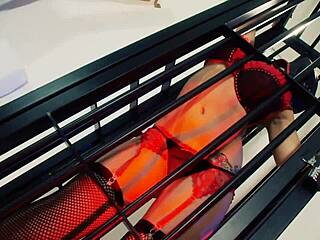 Sexy Sluts Mai Bailey And Krystal Webb In Glamorous Lesbian Fetish Scene!