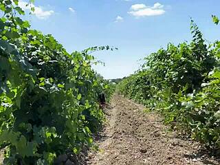 Caught Hooligan On Farm Fucked Hard In Ass