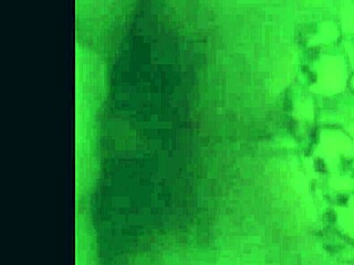 Compilation of Various Scenes