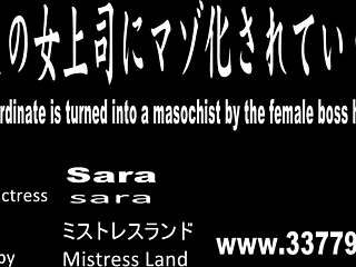 japanese mistress sara dominates with facesitting