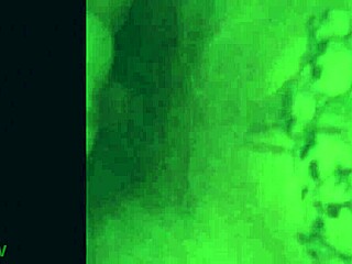 Compilation of Various Scenes