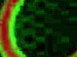 I watch Maxine X tie Siren Thorn