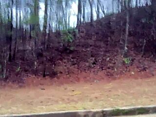 clitlicker662 update 32 shows wild outdoor action on feb 16 2025!