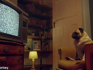 Blue-eyed girl ends up with mouth full of semen after blowjob.