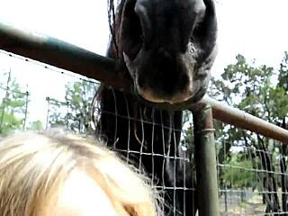 fleshlight girl alexis texas