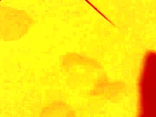 korean race queen makes me cum huge loadd