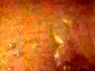 pissing in the bathtub