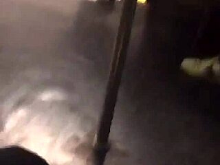 Velikorita punca dobi otipano v vlaku