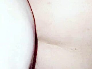 bbw craves doggystyle and begs chubby guy for anal
