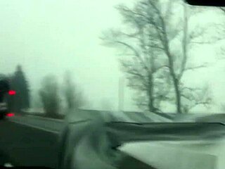 Aussiefox Teasing Truckers with Bold Flashes