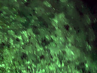 Caught step-aunt masturbating to orgasm