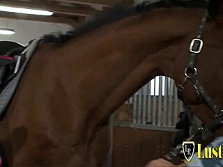 Stable boy bangs sexy brunette babe with blowjob, doggystyle, and cowgirl riding