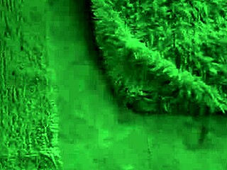 Neighbor Shows Flexibility, No Salt Needed