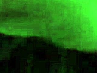 Haitian queen showcasing caribbean beauty in florida!